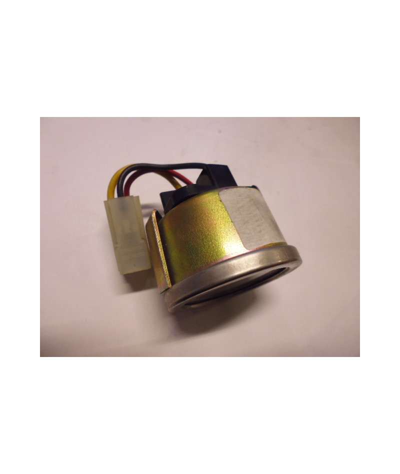 Temostato elettrico...