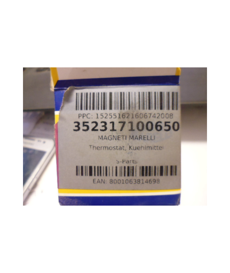 Termostato bulbo acqua...