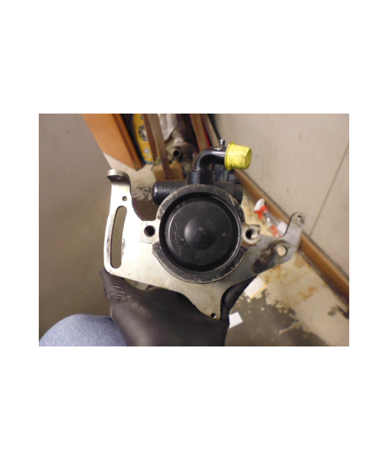 Pompa idroguida servosterzo...